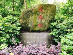 -邓小平故里