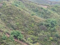 -蟠龙山长城景区