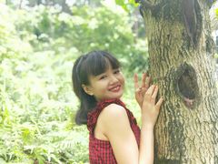 -铁山坪森林公园