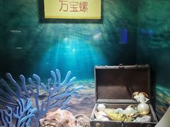 -海合安青岛极地海洋公园