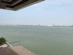 -大湾区中央湿地公园