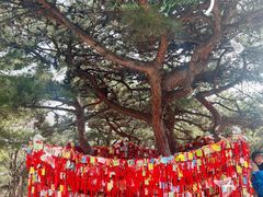 -香山公园