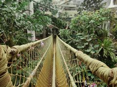 -正佳雨林生态植物园