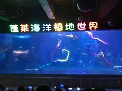 -蓬莱欧乐堡海洋极地世界