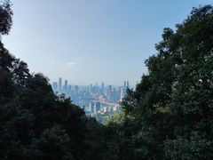 -涂山寺素食餐厅