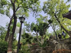-莲湖公园