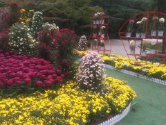 -上海市龙华烈士陵园