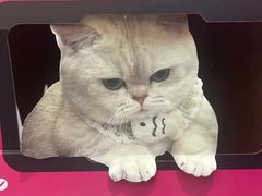 -静宜和她的朋友(星海广场店)