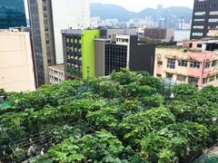 -重庆市江北嘴中央商务区中央公园