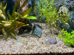 -上海海洋水族馆