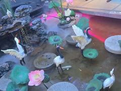 -陆琴脚艺·足浴·SPA(夫子庙店)