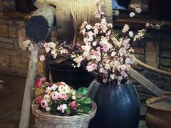 -蜜桃餐厅·江浙融合菜(荟聚购物中心店)