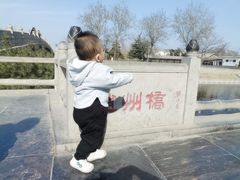 -赵州桥景区
