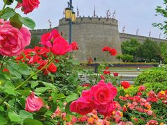 -西安城墙·碑林历史文化景区