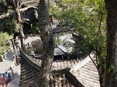 -韬光茶庵