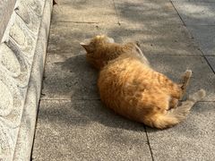 -狼山风景名胜区