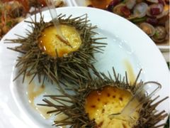 海胆蒸蛋-海岛渔村大酒店(云霄路店)