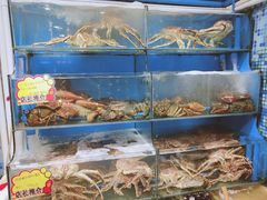 水产区-蚝专家(北滘店)