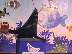 -太平洋海底世界