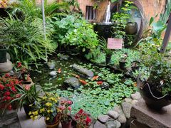 -园林美食城·本土农家菜(杨和镇店)