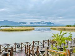 -野鸭湖国家湿地公园