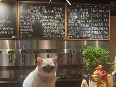 -后院儿·精酿·塔罗Happy Bar