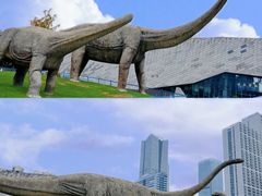 -安徽省地质博物馆