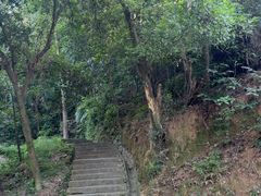 -火炉山森林公园