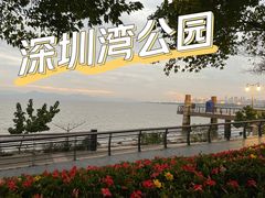 -深圳湾公园(南山区)
