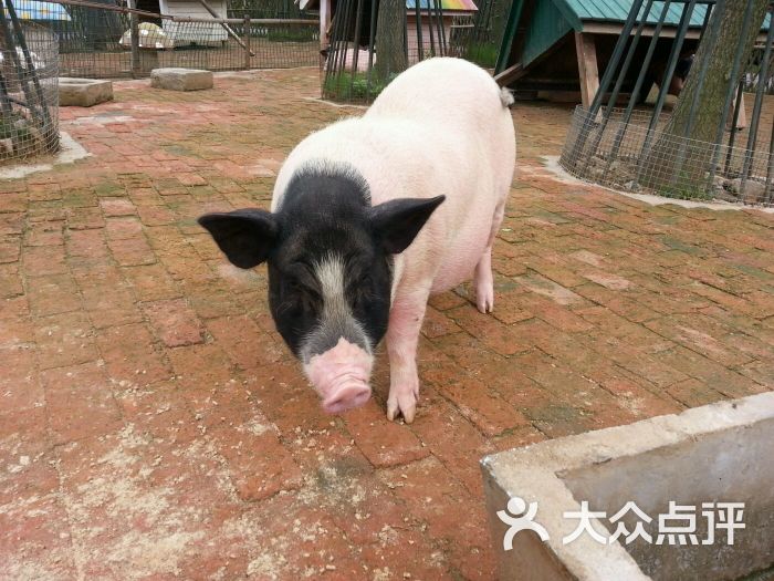 無錫動物園·太湖歡樂園圖片 - 第14張