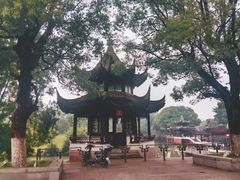 -八大山人梅湖景区