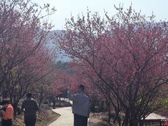 -福清灵石山国家森林公园