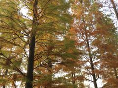 -白塘生态植物园