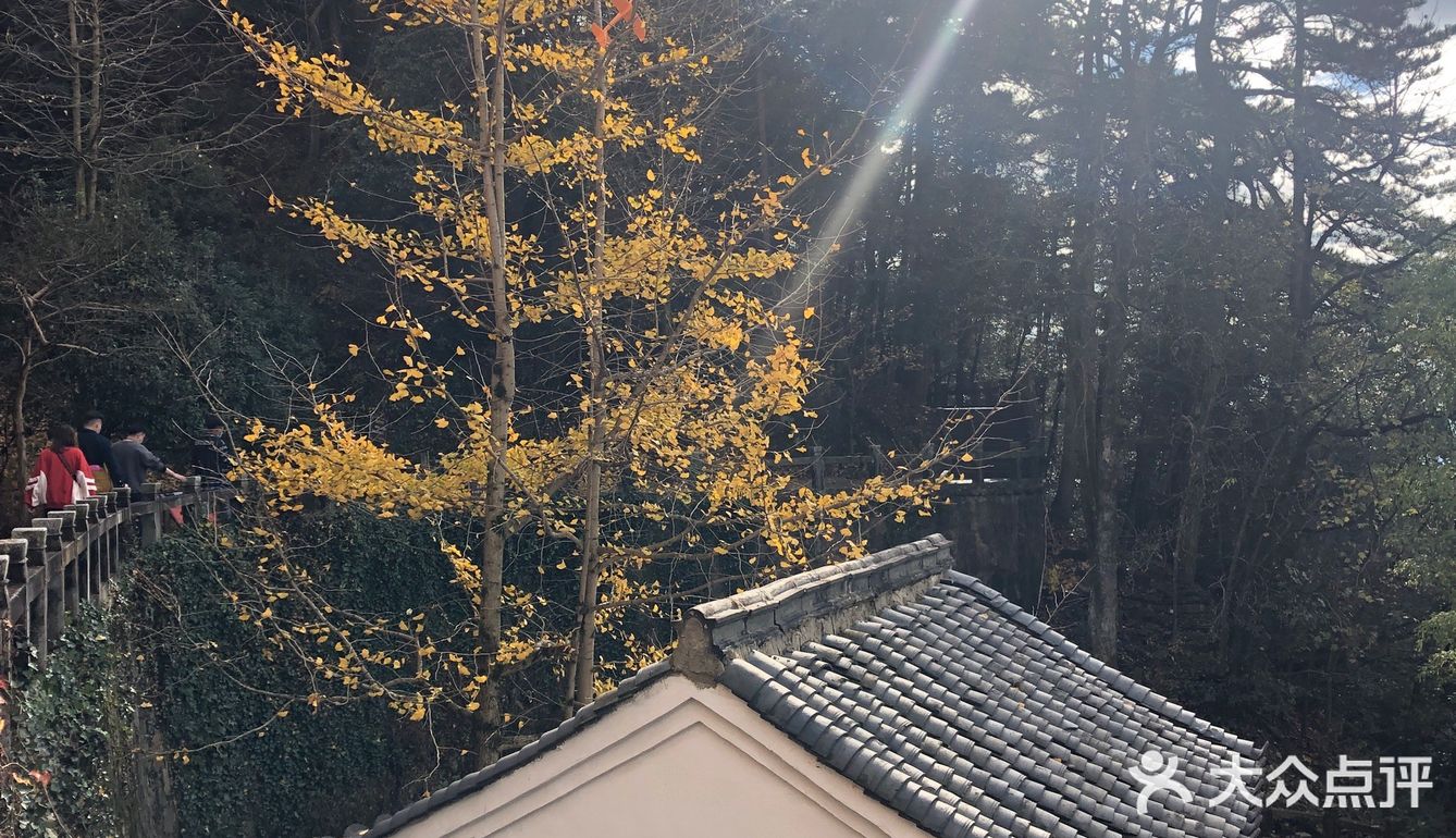 九华山之旅