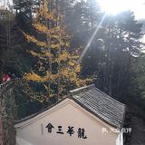 九华山之旅