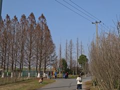 -嘉北郊野公园