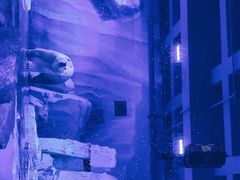 -上海海昌海洋公园-冰山北极馆