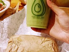 -油梨树AVOCADO TREE(望京店)