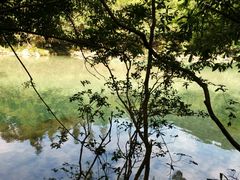 -石台牯牛降景区