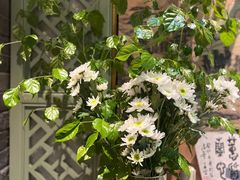 -循礼门鲜花花市(武汉循礼门店)