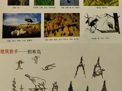 -浙江自然博物院(杭州馆)