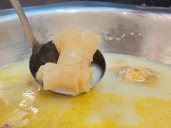 浓汤原只花胶鸡煲-鲜入围煮花胶鸡海鲜火锅