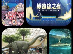 -国家自然博物馆