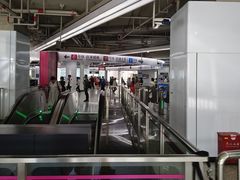 -东方体育中心(地铁站)