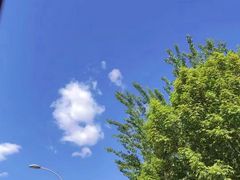 -北京上庄水库尚野露天户外自助烧烤