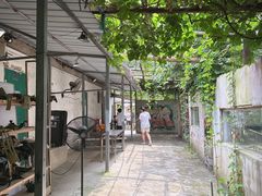 -东湖小天池真人CS彩弹野战基地