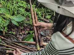 -龙苍沟森林公园