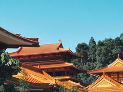 -三水森林公园