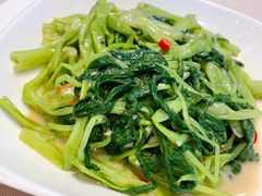 -金苑海鲜酒家(来魅力店)