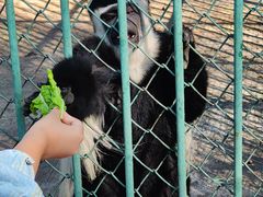 -秦皇岛野生动物园